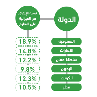 المشروع كفرصة استثمارية