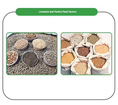 Livestock and Poultry Feed Factory Products