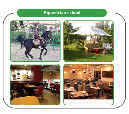 Equestrian school services