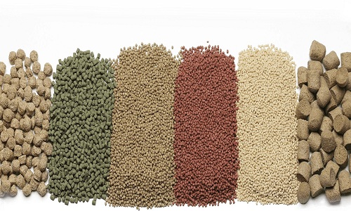 The Fish Feed Factory Products