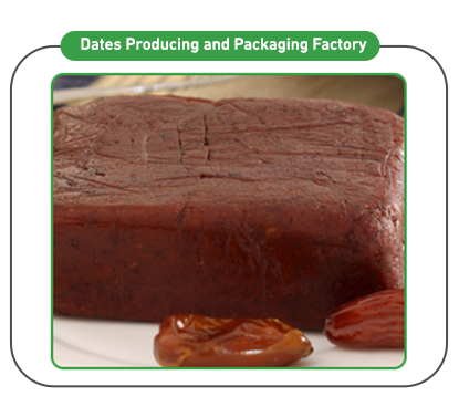 Dates Producing and Packaging Factory Products