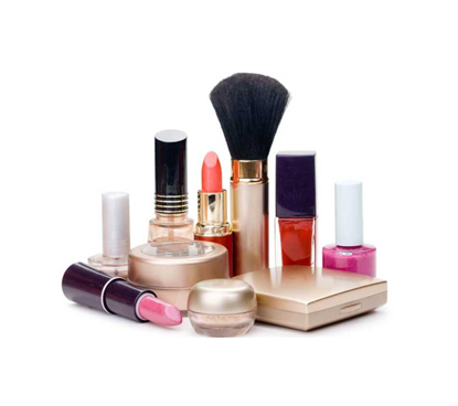 Description of the Cosmetics Company Project