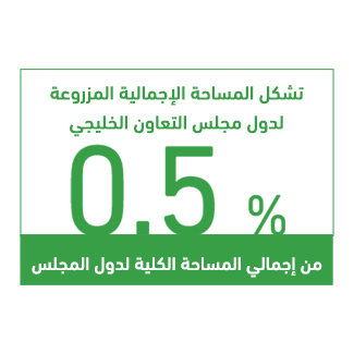 المشروع كفرصة استثمارية