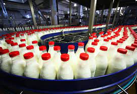 Dairy Products Factory Description